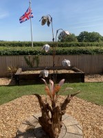 c. 5 Headed Bluebell.jpg